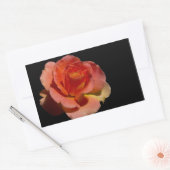Sticker Rectangulaire Rose orange (Enveloppe)