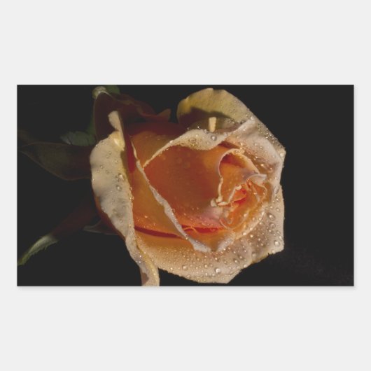 Sticker Rectangulaire Rose orange 1 (Devant)