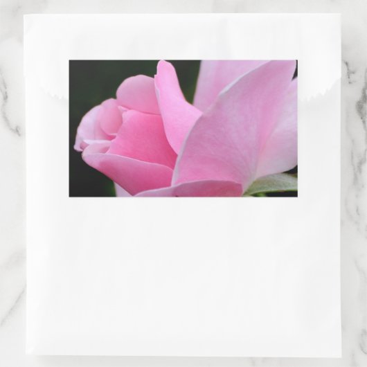 Sticker Rectangulaire Rose rose (Sac)