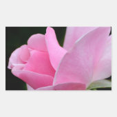 Sticker Rectangulaire Rose rose (Devant)