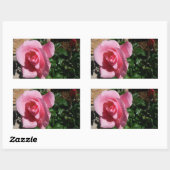 Sticker Rectangulaire Rose rose et bud Garden Floral (Feuille)