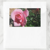 Sticker Rectangulaire Rose rose et bud Garden Floral (Sac)