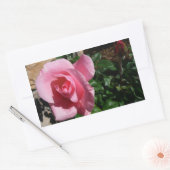Sticker Rectangulaire Rose rose et bud Garden Floral (Enveloppe)