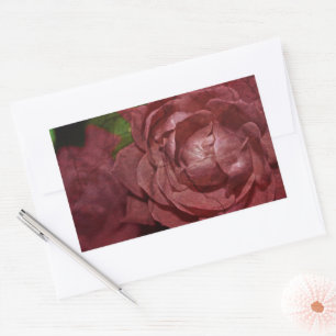 Sticker Rectangulaire Rose rouge craquée par Shirley Taylor