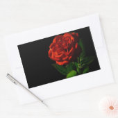 Sticker Rectangulaire Rose rouge sur Floral noir (Enveloppe)