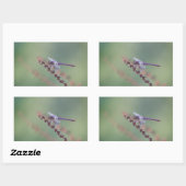 Sticker Rectangulaire Roseate Skimmer (Feuille)
