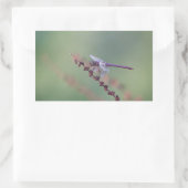 Sticker Rectangulaire Roseate Skimmer (Sac)