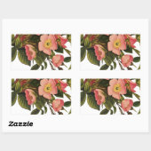 Sticker Rectangulaire Roses Anciennes Belles Fleurs Botaniques Roses (Feuille)
