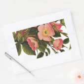 Sticker Rectangulaire Roses Anciennes Belles Fleurs Botaniques Roses (Enveloppe)