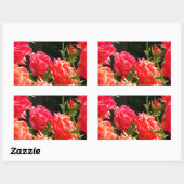 Sticker Rectangulaire Roses de corail romantique (Feuille)