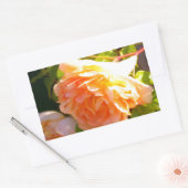 Sticker Rectangulaire Roses de pêche par pays (Enveloppe)