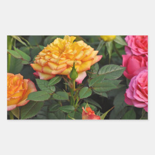 Sticker Rectangulaire Roses miniatures colorés
