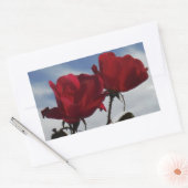Sticker Rectangulaire Roses rouges contre un ciel bleu vif (Enveloppe)