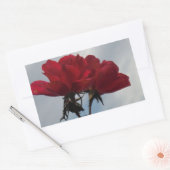 Sticker Rectangulaire Roses rouges contre un ciel bleu vif (Enveloppe)