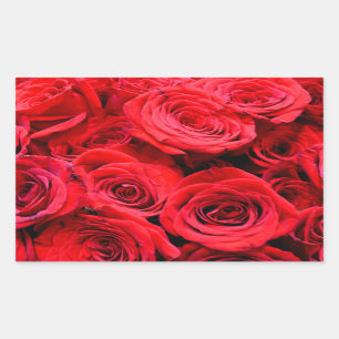 Sticker Rectangulaire Roses rouges fleurs florales rouges