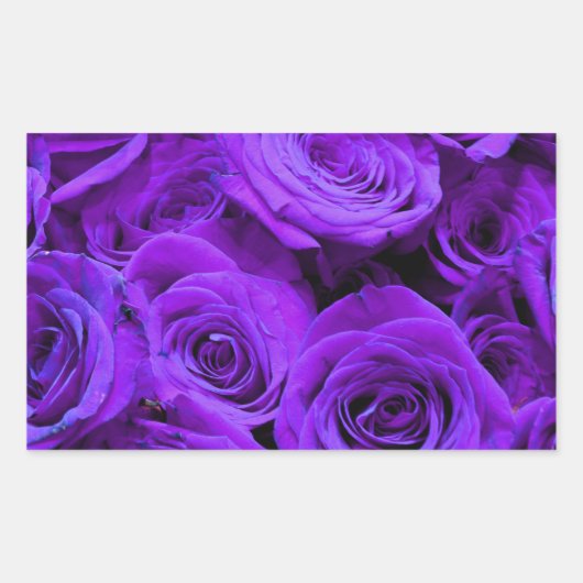 Sticker Rectangulaire roses violet romantique, joli bouquet de rose (Devant)