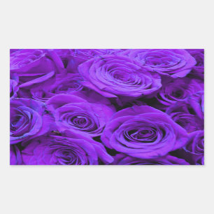 Sticker Rectangulaire roses violet romantique, joli bouquet de rose
