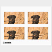 Sticker Rectangulaire Rottweiler avec bâton (Feuille)