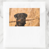 Sticker Rectangulaire Rottweiler avec bâton (Sac)
