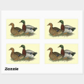 Sticker Rectangulaire Rouen Ducks (Feuille)