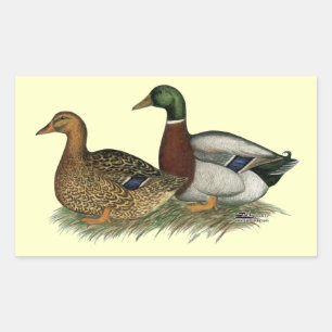 Sticker Rectangulaire Rouen Ducks