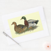 Sticker Rectangulaire Rouen Ducks (Enveloppe)