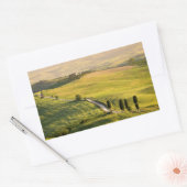 Sticker Rectangulaire Route blanche dans le rectangle de paysage toscan (Enveloppe)