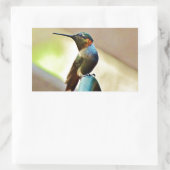 Sticker Rectangulaire Ruby perché et petit colibri vert (Sac)
