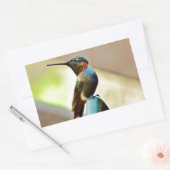 Sticker Rectangulaire Ruby perché et petit colibri vert (Enveloppe)