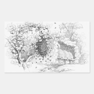 Sticker Rectangulaire ruches d'abeilles vintages
