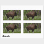 Sticker Rectangulaire Running Buffalo & Forest, Bison-lover's Design (Feuille)