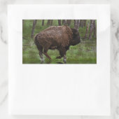 Sticker Rectangulaire Running Buffalo & Forest, Bison-lover's Design (Sac)