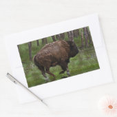 Sticker Rectangulaire Running Buffalo & Forest, Bison-lover's Design (Enveloppe)