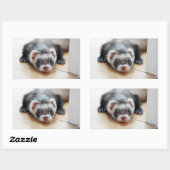 Sticker Rectangulaire Sable Ferret (Feuille)