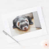 Sticker Rectangulaire Sable Ferret (Enveloppe)