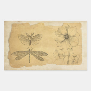 Sticker Rectangulaire Sacoche de collection de parchemin vintage