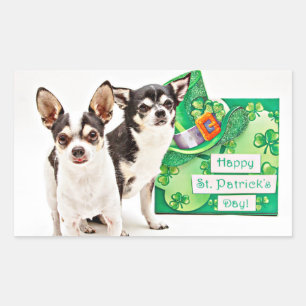 Sticker Rectangulaire Saint Patrick's Day Chihuahua's