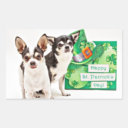 Sticker Rectangulaire Saint Patrick's Day Chihuahua's (Devant)