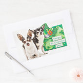 Sticker Rectangulaire Saint Patrick's Day Chihuahua's (Enveloppe)