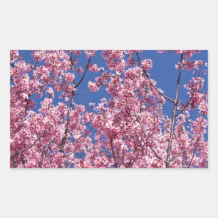 Sticker Rectangulaire Sakura Cerisiers en Fleur Dans Le Bleu