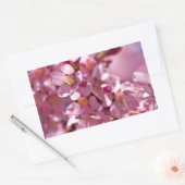 Sticker Rectangulaire Sakura Cherry Blossoms embrassés par Sunlight (Enveloppe)