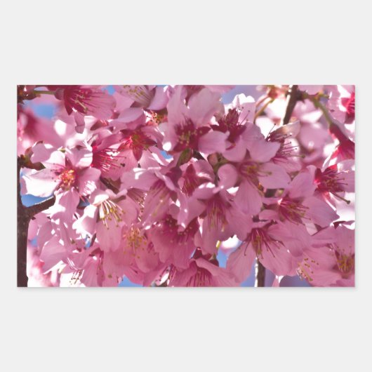 Sticker Rectangulaire Sakura Cherry Blossoms Red Stars (Devant)