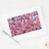 Sticker Rectangulaire Sakura Pink Cherry Blossom Sky (Enveloppe)
