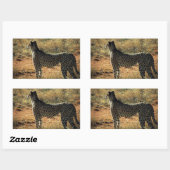 Sticker Rectangulaire Samburu Cheetah (Feuille)