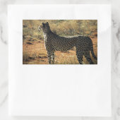 Sticker Rectangulaire Samburu Cheetah (Sac)