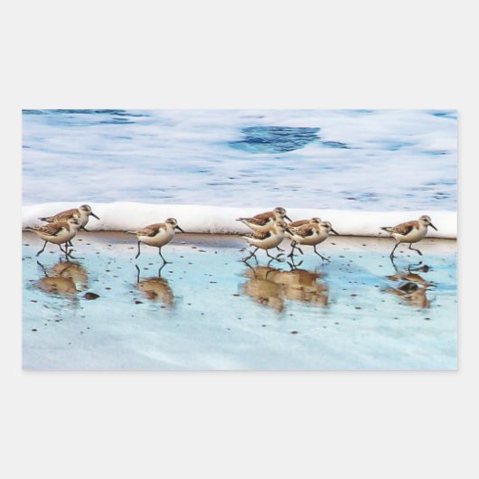 Sticker Rectangulaire Sanders Longeant La Plage (Devant)