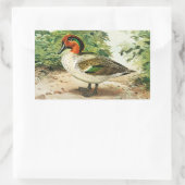 Sticker Rectangulaire Sarcelle à ailes vertes (Sac)