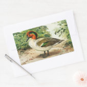 Sticker Rectangulaire Sarcelle à ailes vertes (Enveloppe)