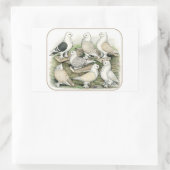 Sticker Rectangulaire Satinettes de pigeons de frill classique (Sac)