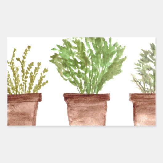 Sticker Rectangulaire Sauge aux herbes, romarin, thym (Devant)